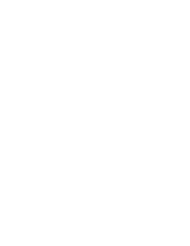 Falls City FESTi-Ville